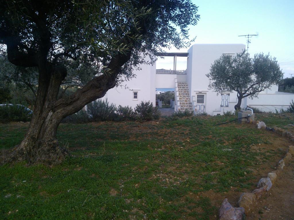 Studios Evdokia Platis Gialos  Exterior photo